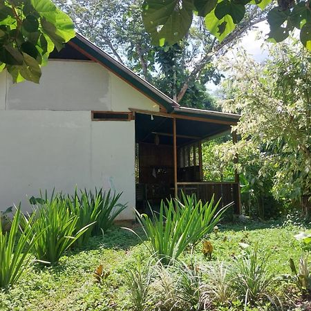 פוארטו מלדונדו Jardin De Las Musas מראה חיצוני תמונה