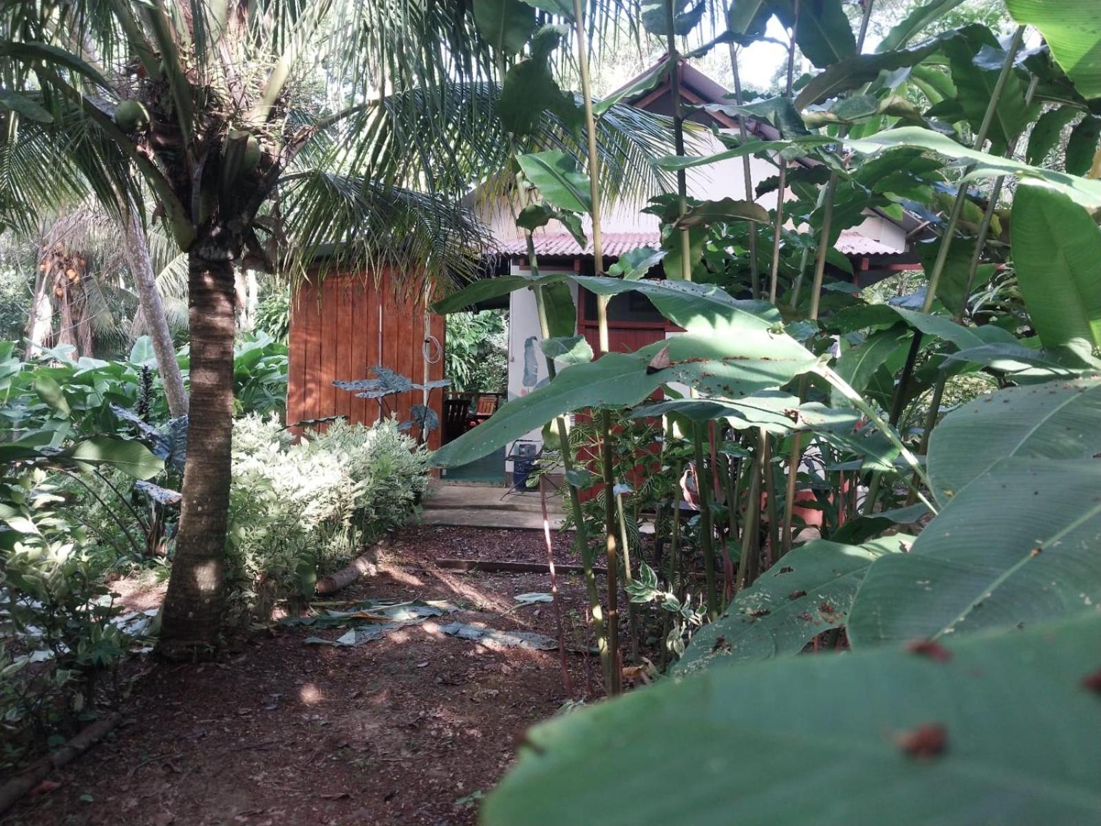 פוארטו מלדונדו Jardin De Las Musas חדר תמונה