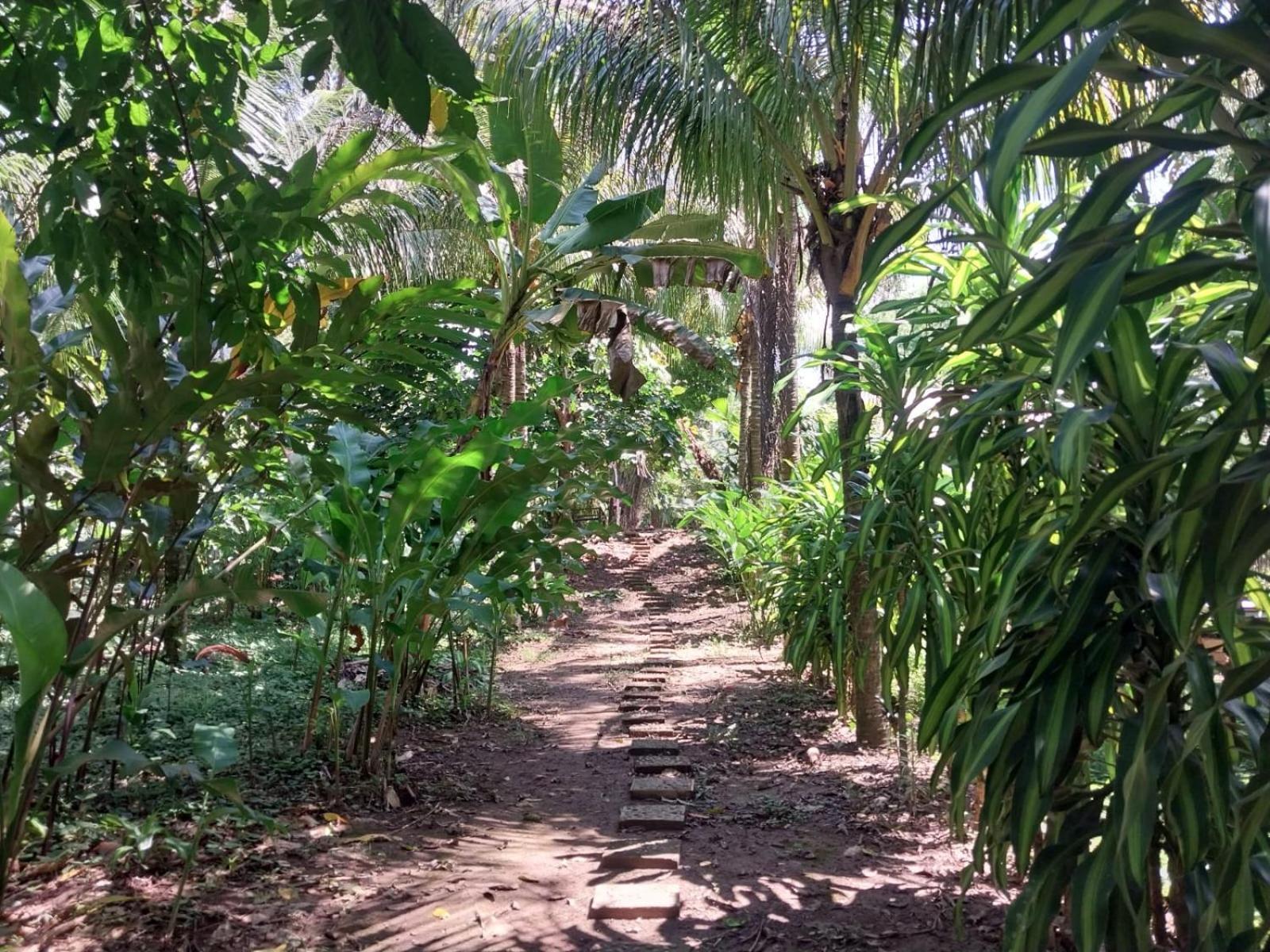 פוארטו מלדונדו Jardin De Las Musas מראה חיצוני תמונה