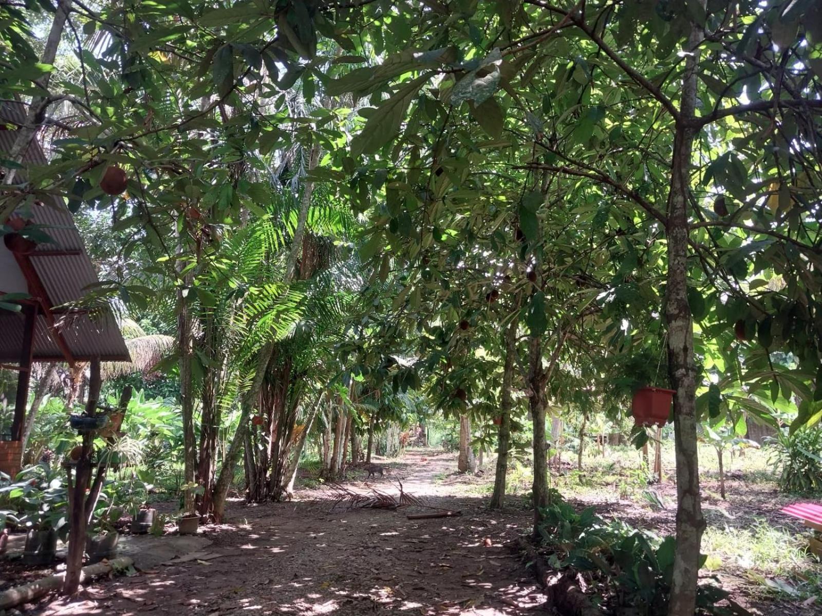 פוארטו מלדונדו Jardin De Las Musas חדר תמונה