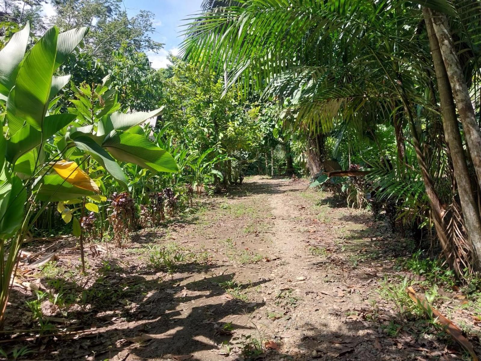 פוארטו מלדונדו Jardin De Las Musas חדר תמונה